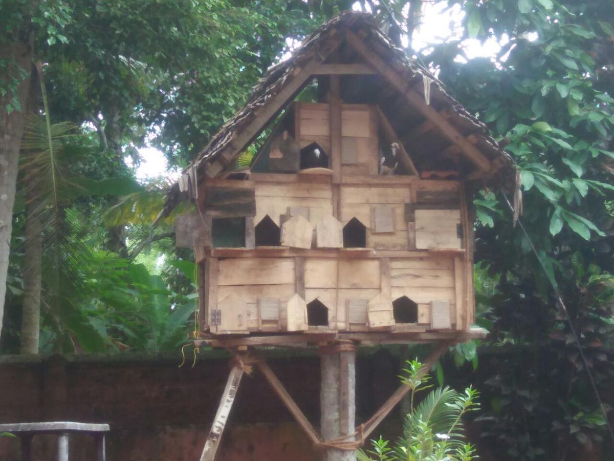 Nalukettu Heritage Resort Varkala Extérieur photo
